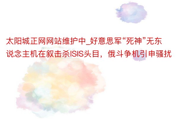 太阳城正网网站维护中_好意思军“死神”无东说念主机在叙击杀ISIS头目，俄斗争机引申骚扰