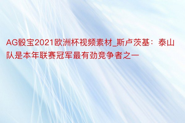 AG骰宝2021欧洲杯视频素材_斯卢茨基：泰山队是本年联赛冠军最有劲竞争者之一