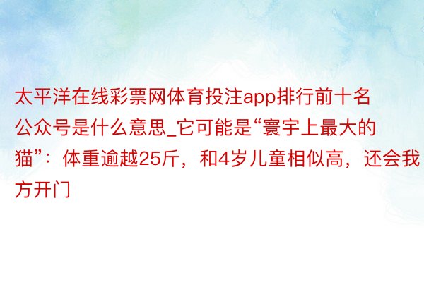 太平洋在线彩票网体育投注app排行前十名公众号是什么意思_它可能是“寰宇上最大的猫”：体重逾越25斤，和4岁儿童相似高，还会我方开门