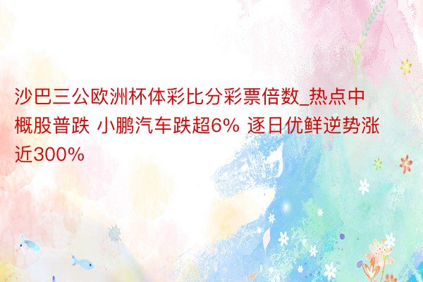 沙巴三公欧洲杯体彩比分彩票倍数_热点中概股普跌 小鹏汽车跌超6% 逐日优鲜逆势涨近300%