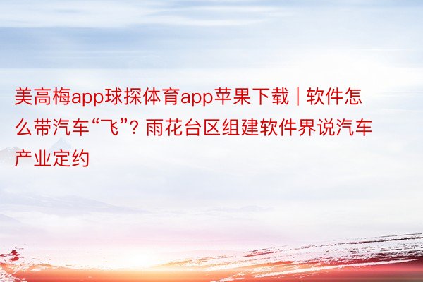 美高梅app球探体育app苹果下载 | 软件怎么带汽车“飞”? 雨花台区组建软件界说汽车产业定约