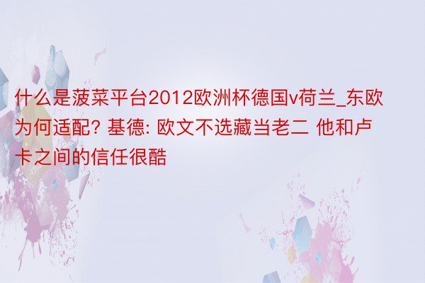 什么是菠菜平台2012欧洲杯德国v荷兰_东欧为何适配? 基德: 欧文不选藏当老二 他和卢卡之间的信任很酷