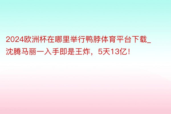 2024欧洲杯在哪里举行鸭脖体育平台下载_沈腾马丽一入手即是王炸，5天13亿！